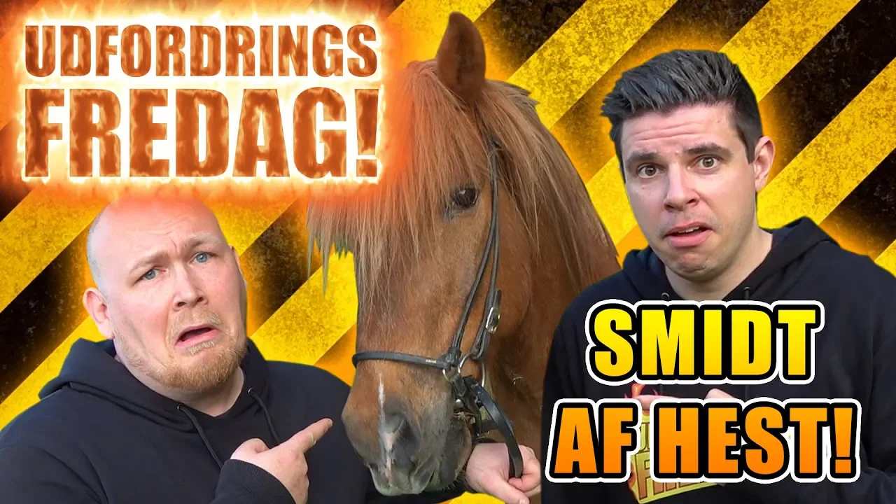 Udfordrings-fredag - Rider på hest