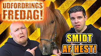 Udfordrings-fredag - Rider på hest