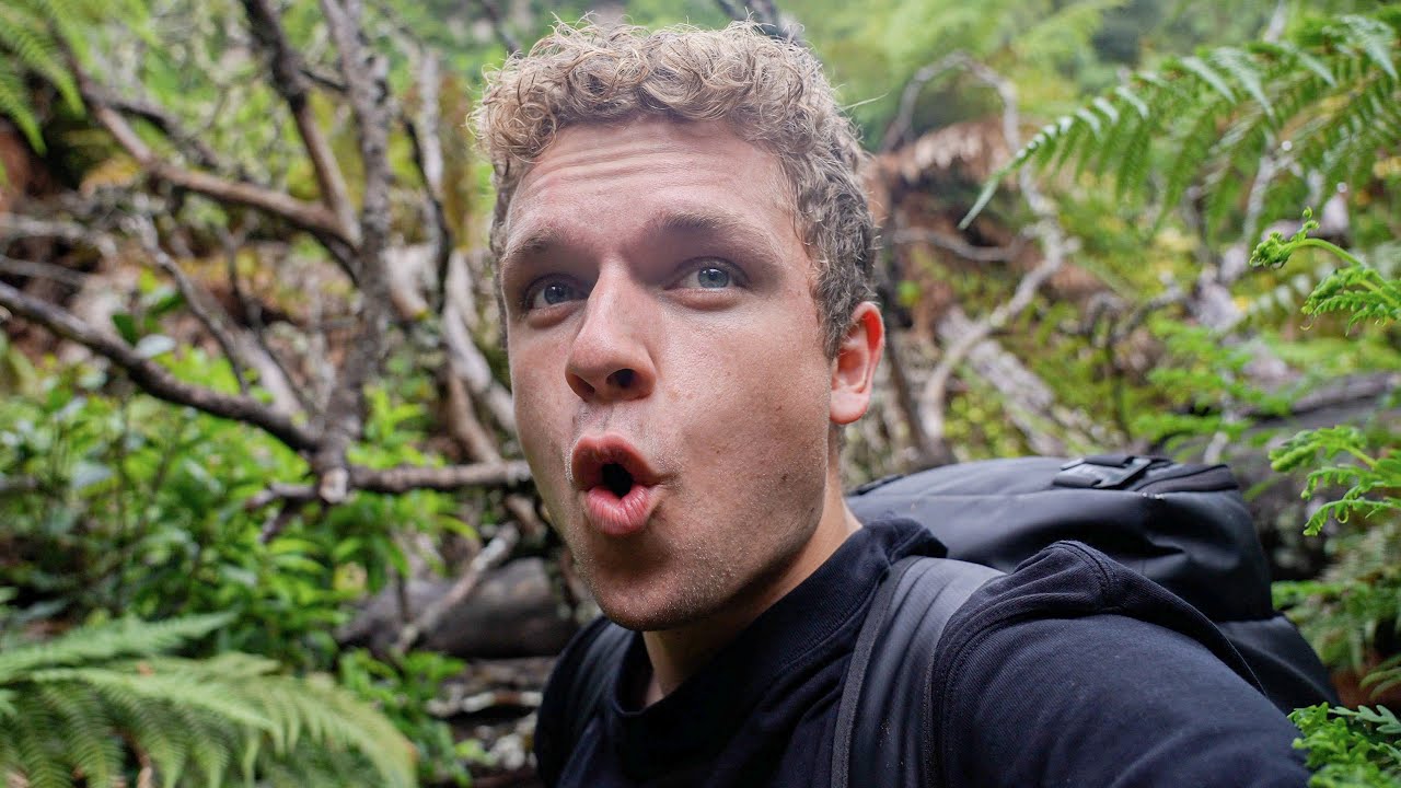 15 KM GENNEM EN REGNSKOV