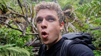 15 KM GENNEM EN REGNSKOV