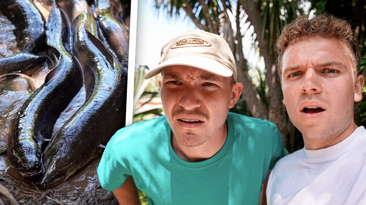 FINDER VERDENS STØRSTE ÅL