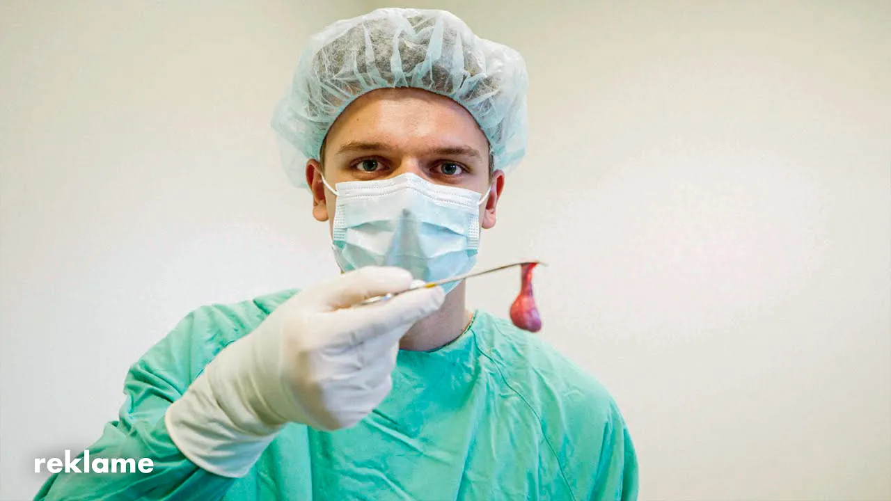 Hvad kan jeg blive? Dyrlæge