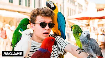 VI REJSER TIL HERCEGOVINA