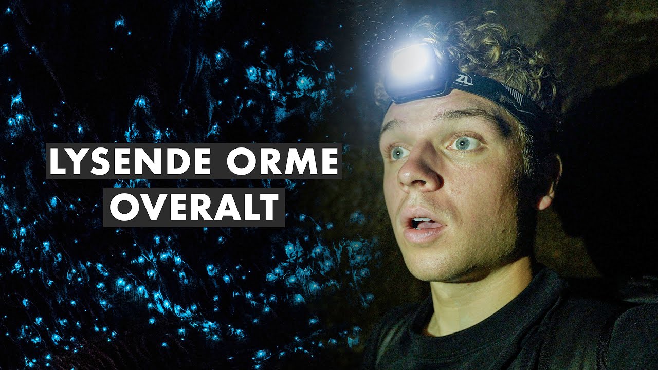 DE HER ORME KAN LYSE