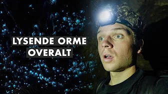 DE HER ORME KAN LYSE