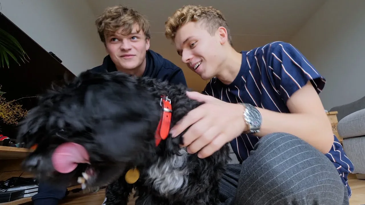 Kæledyr og allergi - Afsnit 1