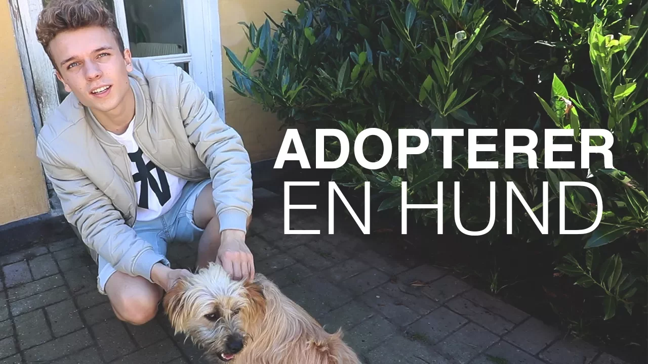 VI ADOPTERER EN GADEHUND