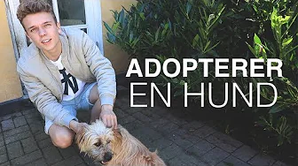 VI ADOPTERER EN GADEHUND