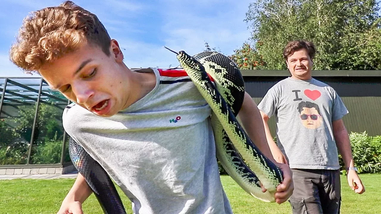 DRENGERØVS CHALLENGE MED VILDE DYR