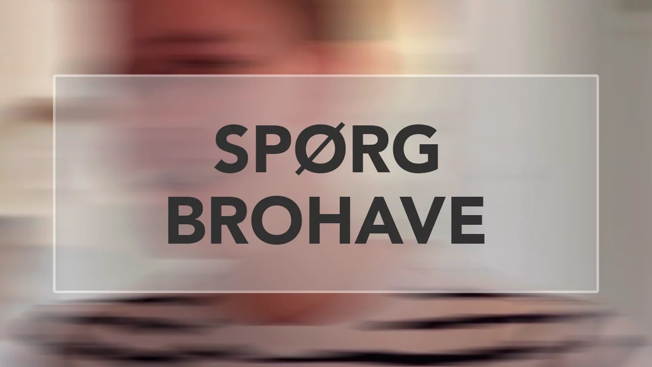 SPØRG BROHAVE #1