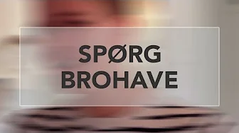 SPØRG BROHAVE #1