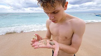 BESØGER EKSOTISK Ø