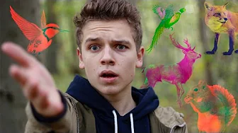 Hvorfor man ikke går i skoven | Rasmus Brohave