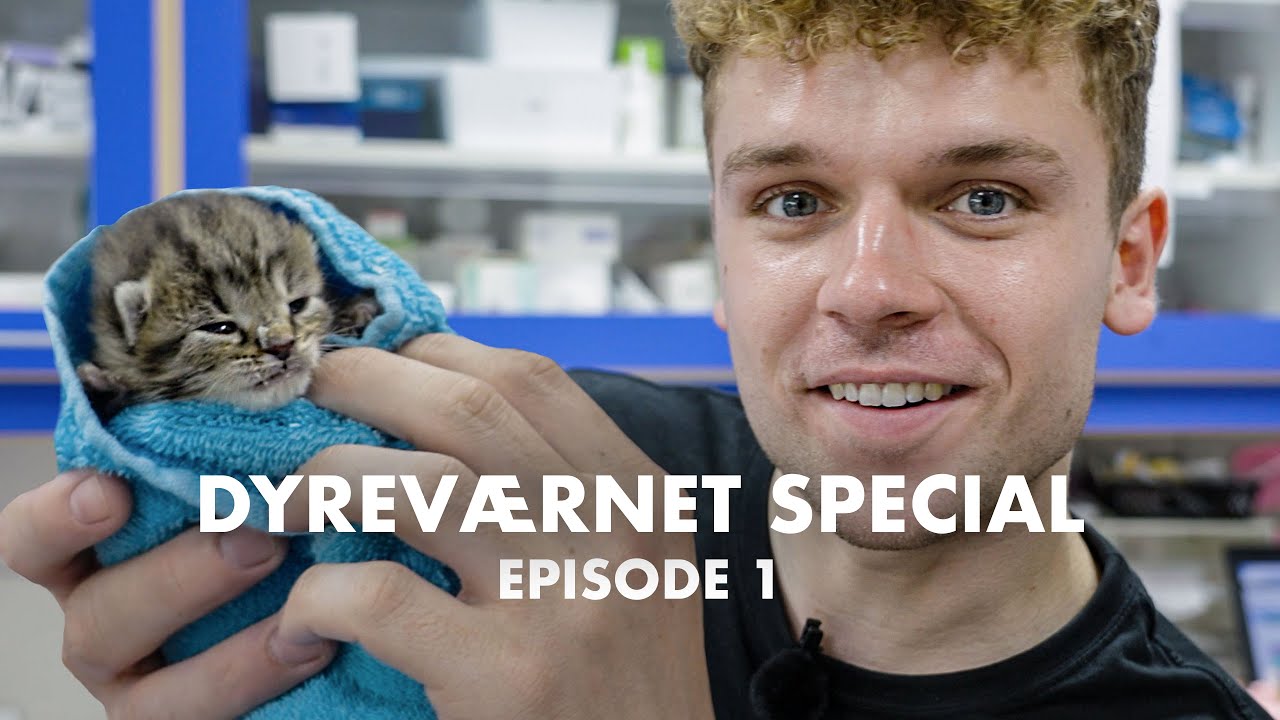 Hvad kan jeg blive? Dyreværnet Special Ep. 1
