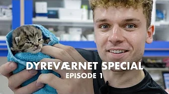 Hvad kan jeg blive? Dyreværnet Special Ep. 1