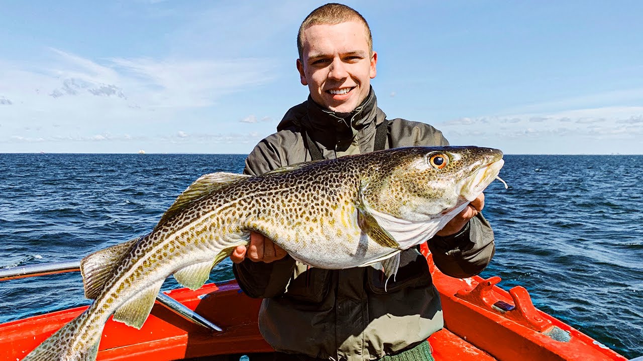 FANGER MIN FØRSTE TORSK