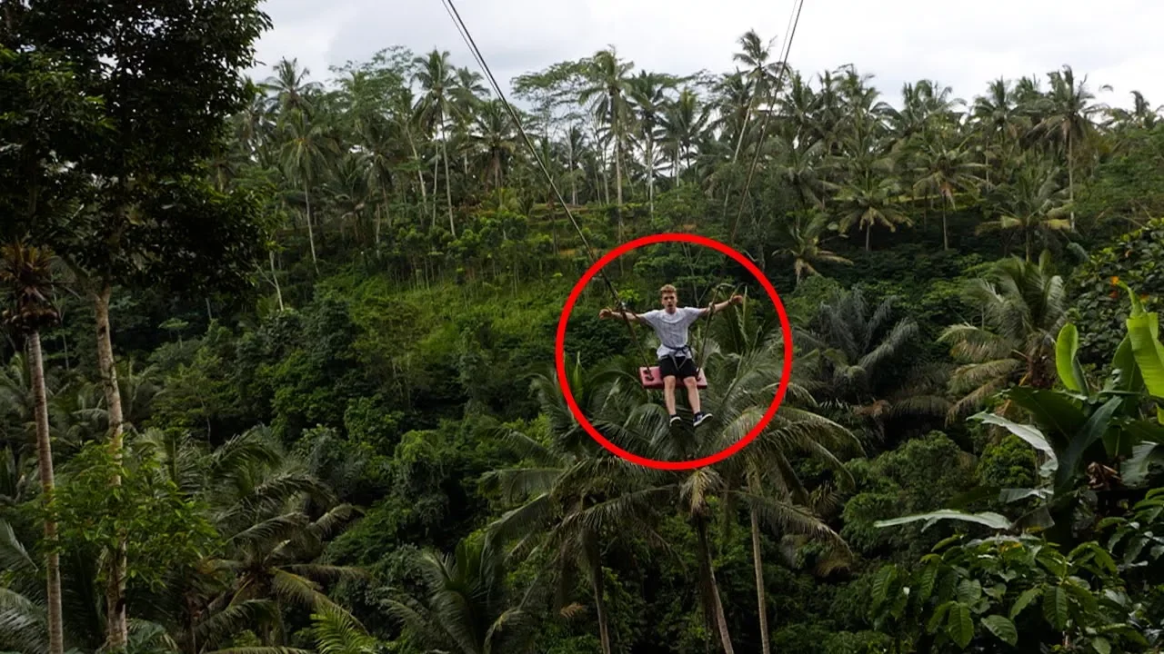 ABER OG EN KÆMPE GYNGE