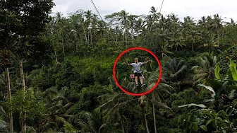 ABER OG EN KÆMPE GYNGE