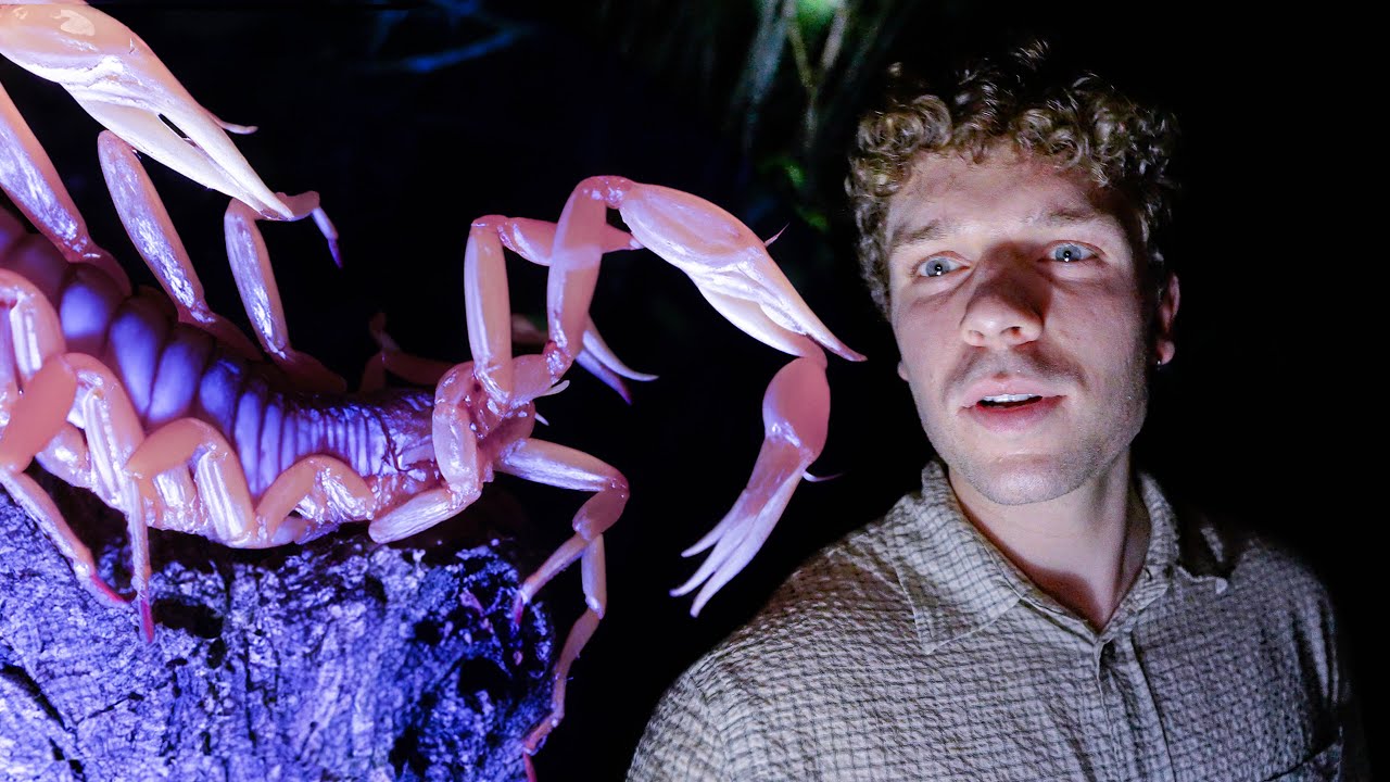 På safari om natten i Thailand