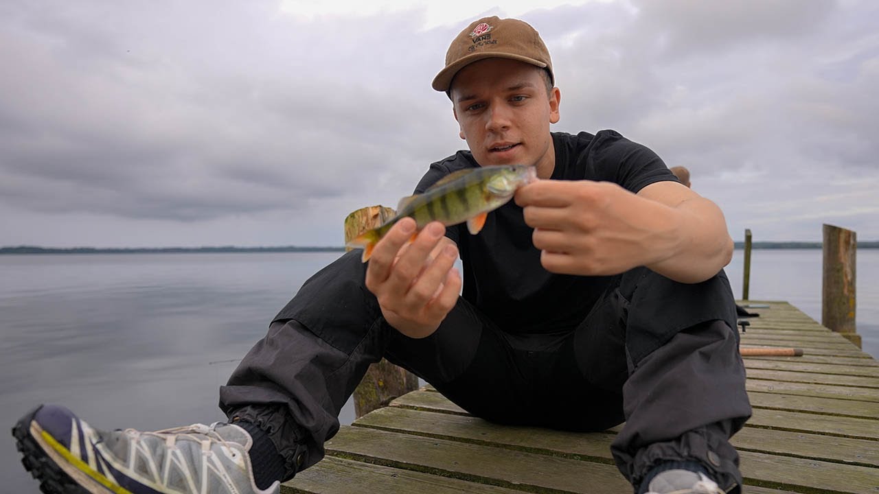 OVERNATTER I SKOVEN I EN HÆNGEKØJE