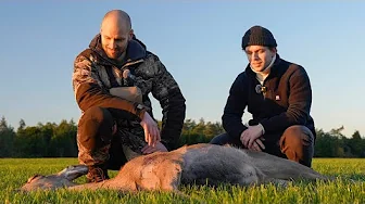 Min første jagt - nedlægger krondyr