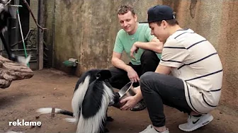 Hvad kan jeg blive? Dyrepasser