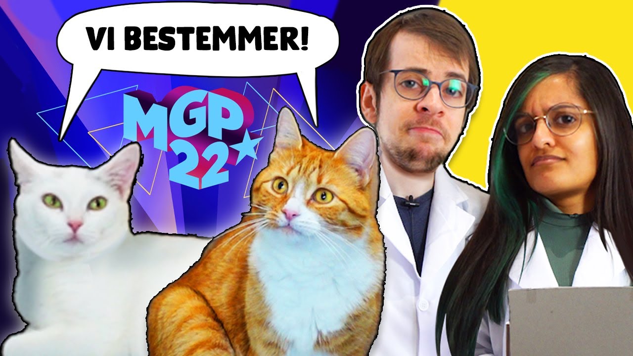 VORES KATTE BESTEMMER HVEM DER VINDER MGP 2022 🎤🎶
