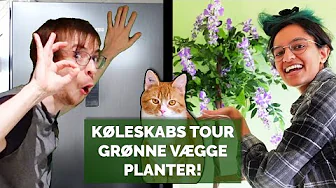 Projekt nørdehjem #3 | NYE KØLEMØBLER OG ANDET TIL HJEMMET