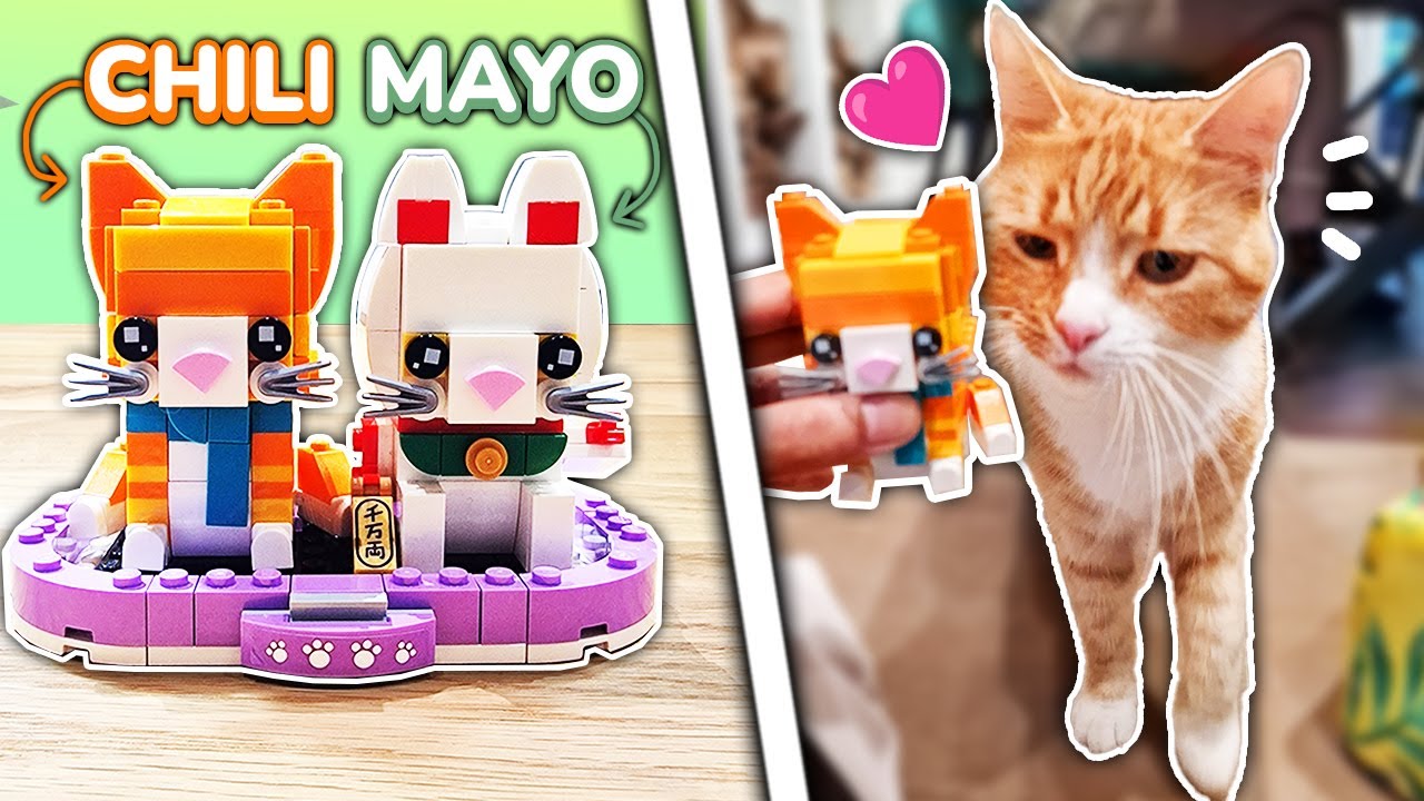 VORES KATTE ER BLEVET TIL LEGO!? - En dag med Robin og Samrita