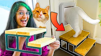 Vi Laver en TRAPPE Til Vores Katte 😻 - Projekt Nørdehjem