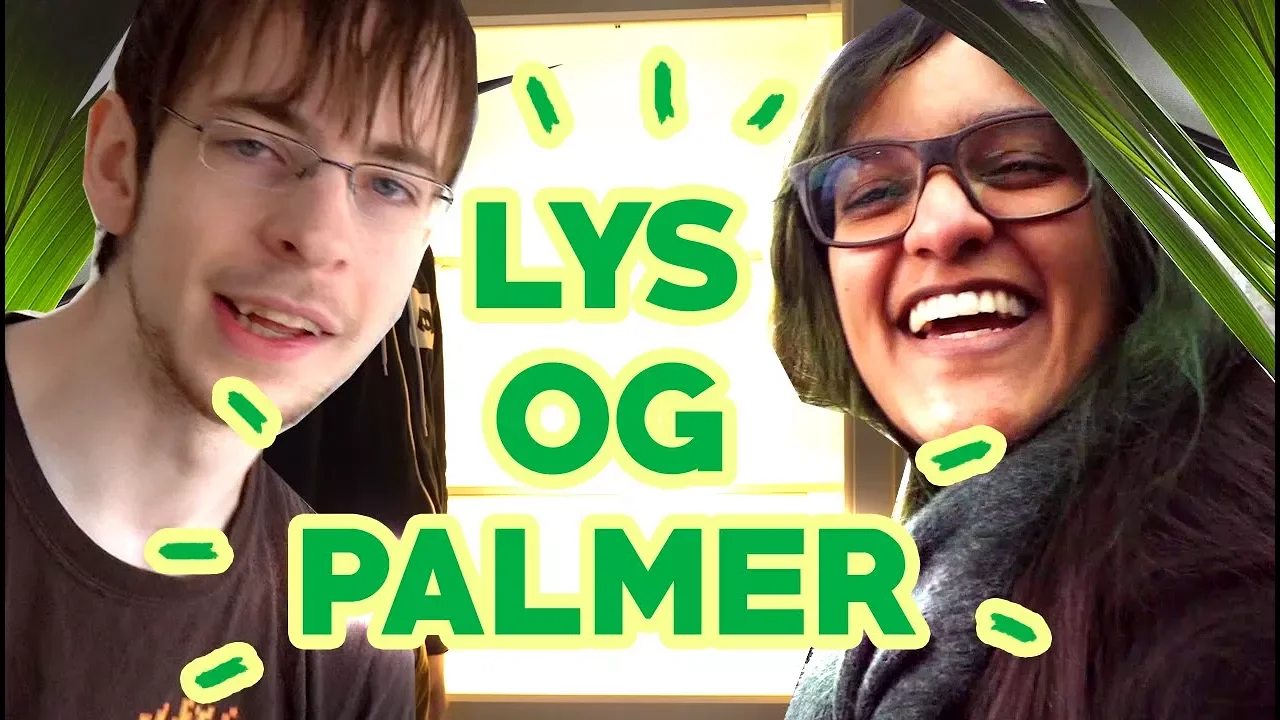 LYS OG PALMER | Flytte vLog 2018 #2