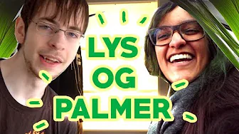 LYS OG PALMER | Flytte vLog 2018 #2