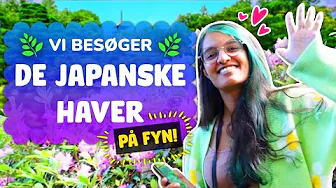VI BESØGER DE JAPANSKE HAVER 🌸