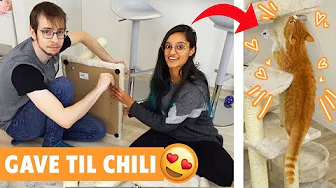 Chili's nye kradsetårn!