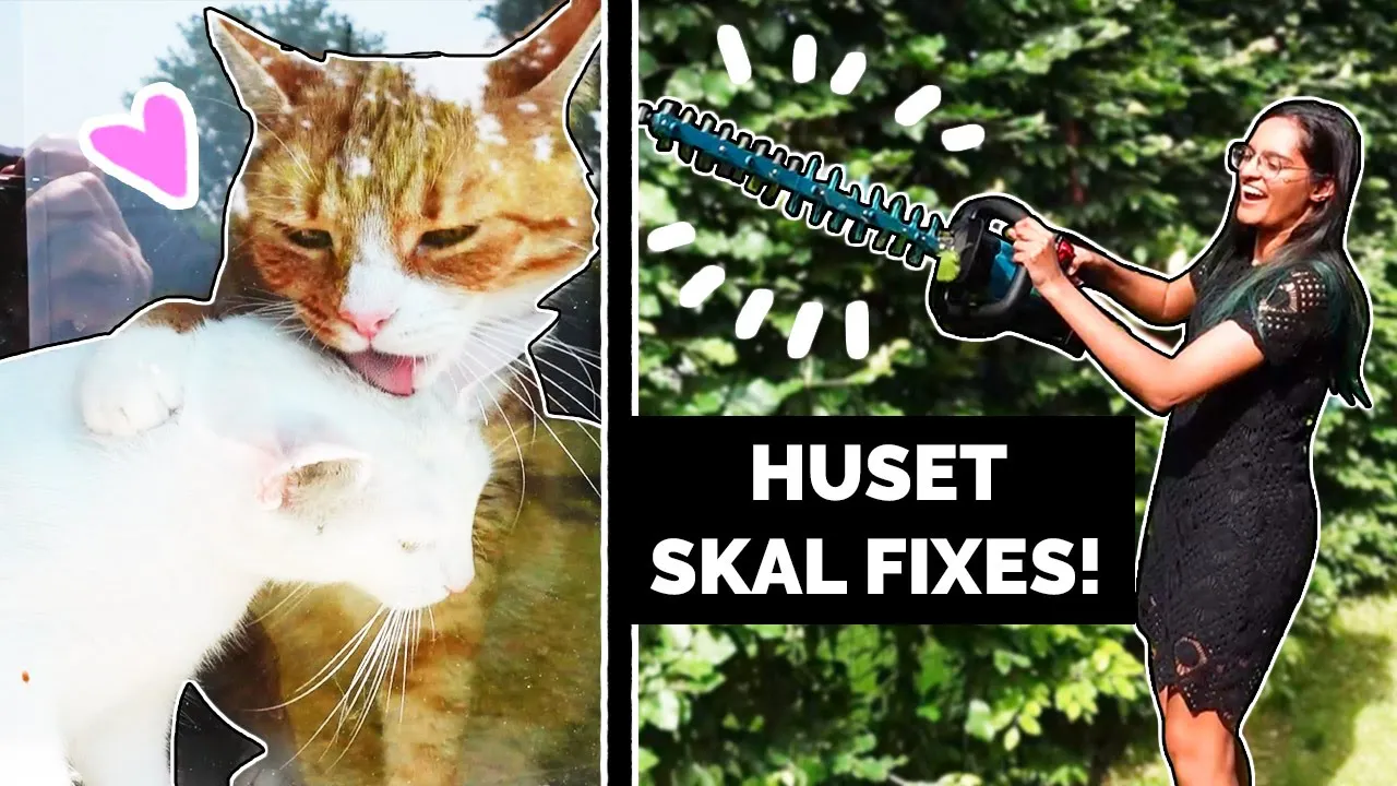 CHILI OG MAYO.. KOMMER UDENFOR?? | Projekt Nørdehjem #8