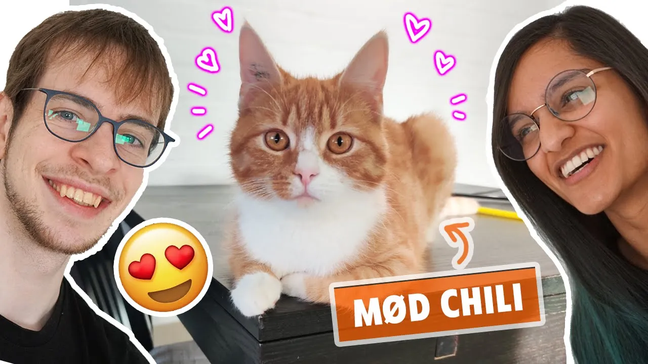 Mød Chili vores søde misser!