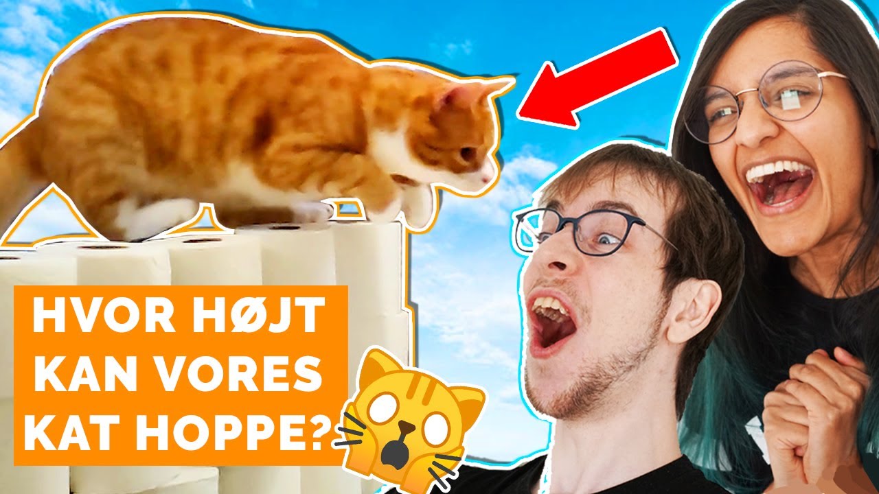 Hvor højt kan Chili hoppe?