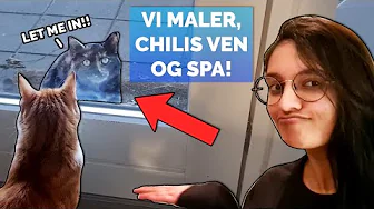 NY VEN TIL CHILI? Maling og flytning | Projekt nørdehjem #1
