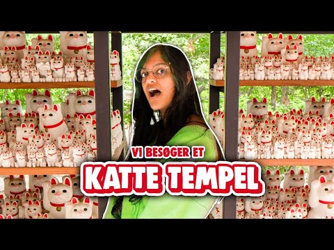 Vi fandt et tempel KUN MED KATTE i Japan