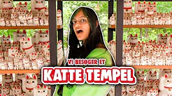 Vi fandt et tempel KUN MED KATTE i Japan