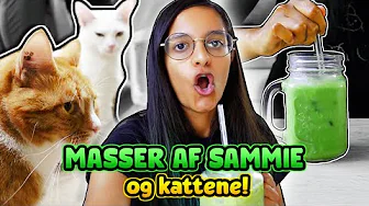 ET SAMMIE NØRDEHJEM | Projekt Nørdehjem #10