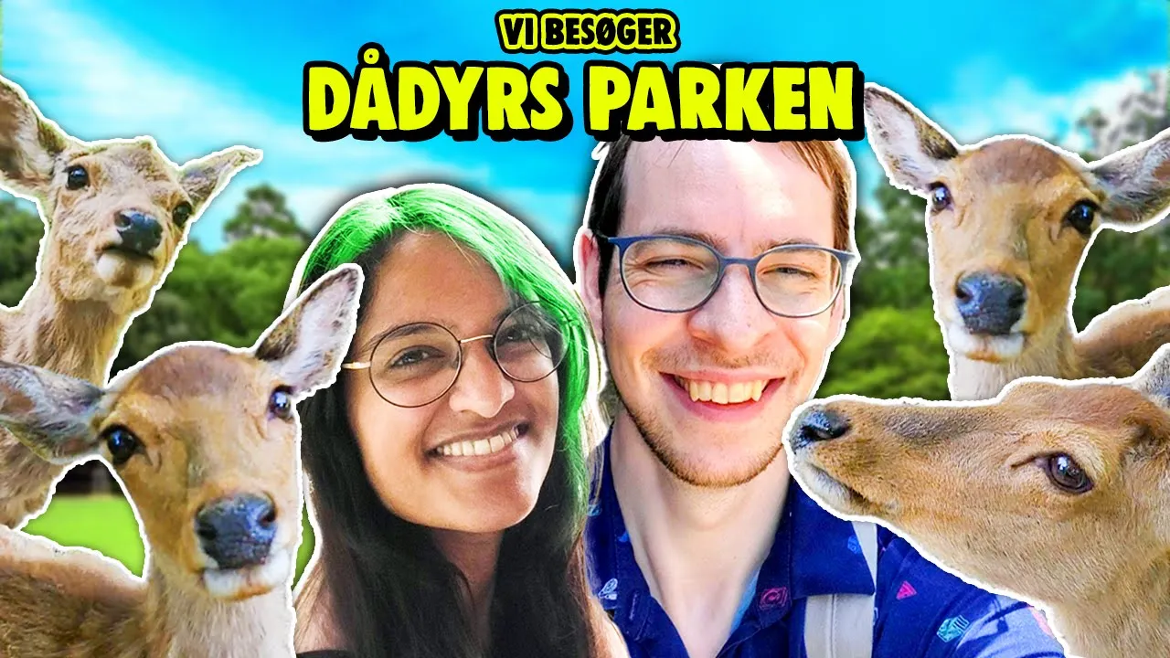 Bliver jagtet af dådyr i Japan! 😲🦌