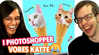 I har REDIGERET VORES KATTE - Hvem vinder en kop??