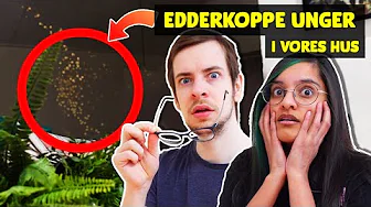 Vi har et edderkoppe problem I HUSET 🕷🏡 | Projekt Nørdehjem #12