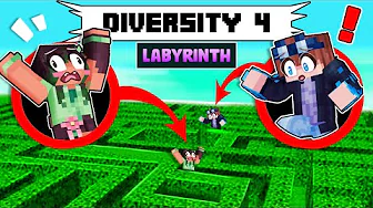 Diversity 4 - Labyrinth