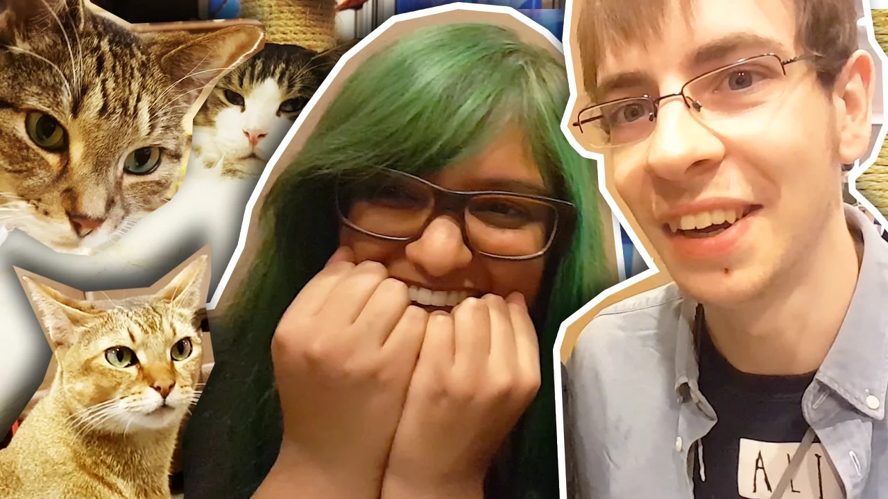 KATTE CAFÉ OG PANDAER (Japan)