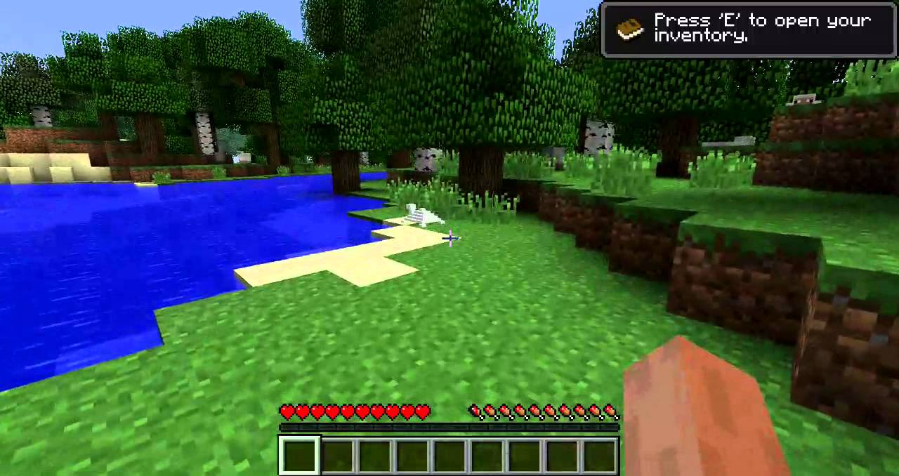 Mineturtle in Minecraft!