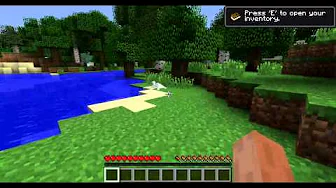 Mineturtle in Minecraft!