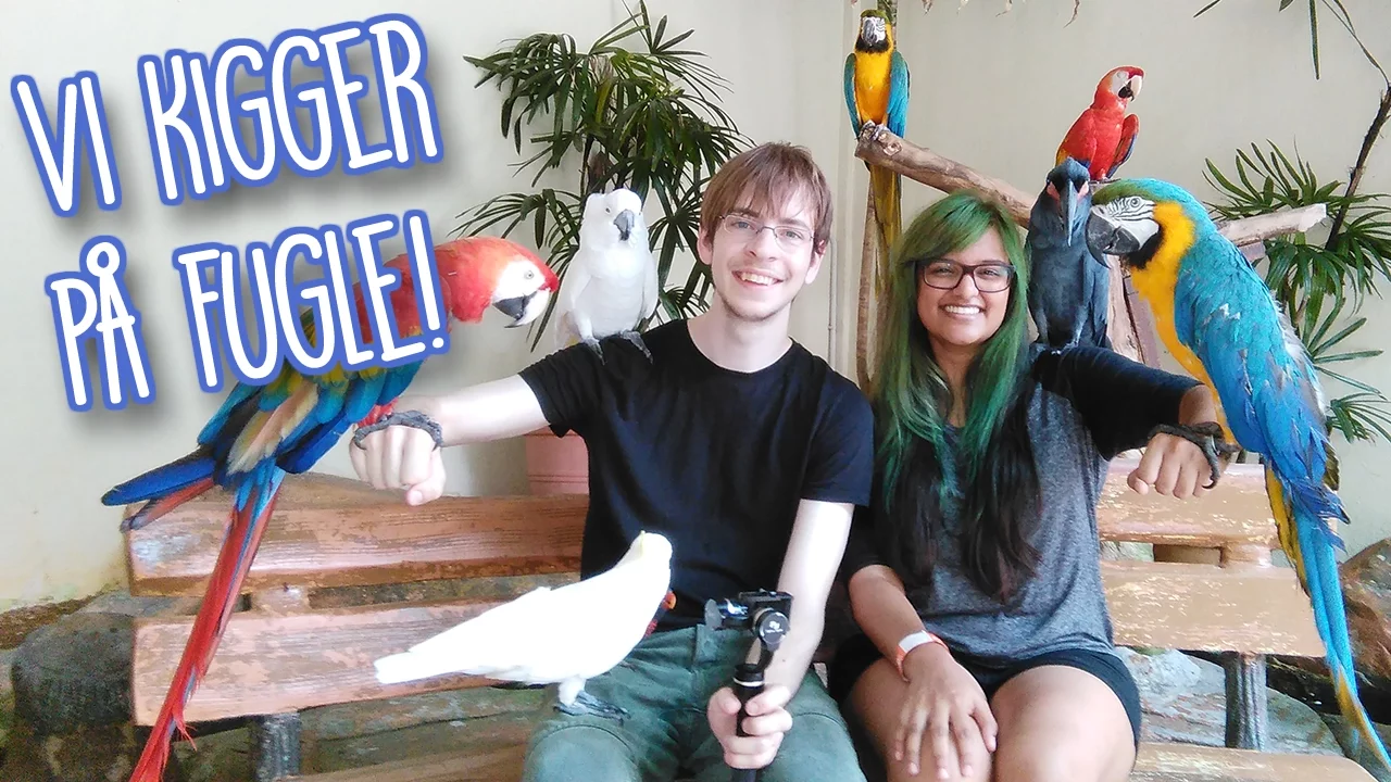 VI KIGGER PÅ FUGLE - På ferie i Malaysia