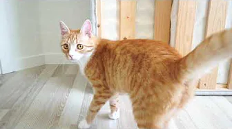 Test af Medlems video :o!